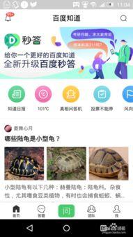 九一网页版免费在线电脑网页版,免费在线电脑网页版深度解析